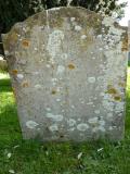 image number Sage Robert 260